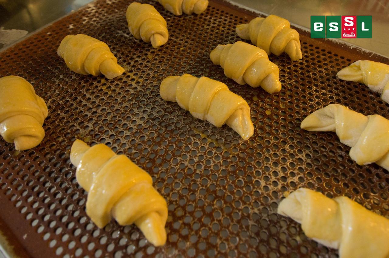 Essl In Filzmoos Hotel Ngoại thất bức ảnh